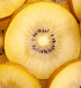 Kiwi JAUNE MINKIGOLD