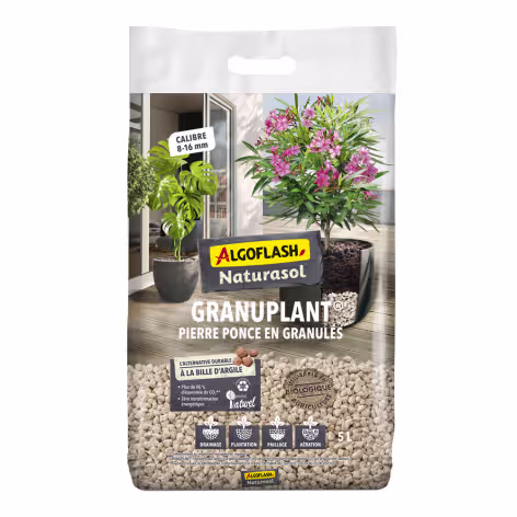 Pierre Ponce en granulés