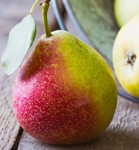 Poirier WILLIAMS ROUX