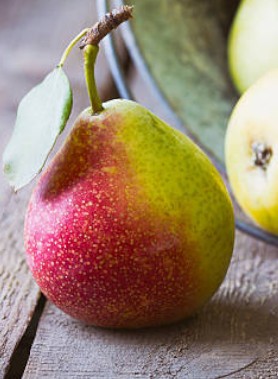 Poirier WILLIAMS ROUX