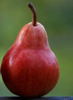 Poirier WILLIAMS ROUX – Image 2