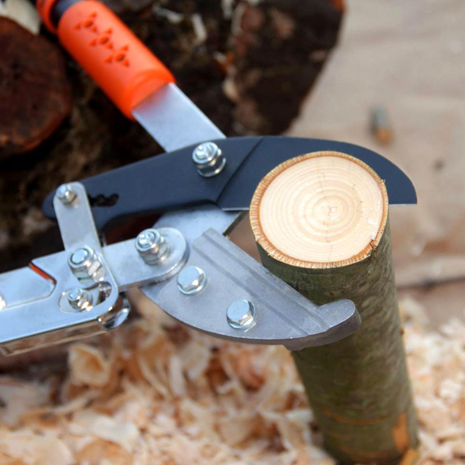 Sécateur à crémaillère – Image 3