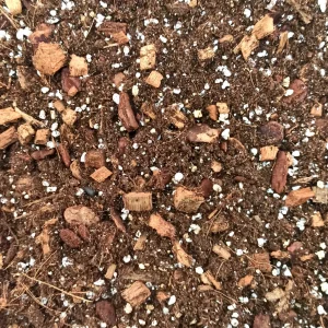 Terreau Alocasia – Enrichi en Mycorhize et Bacillus