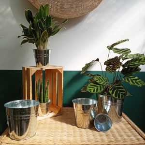 Cache Pot Zinc Brillant