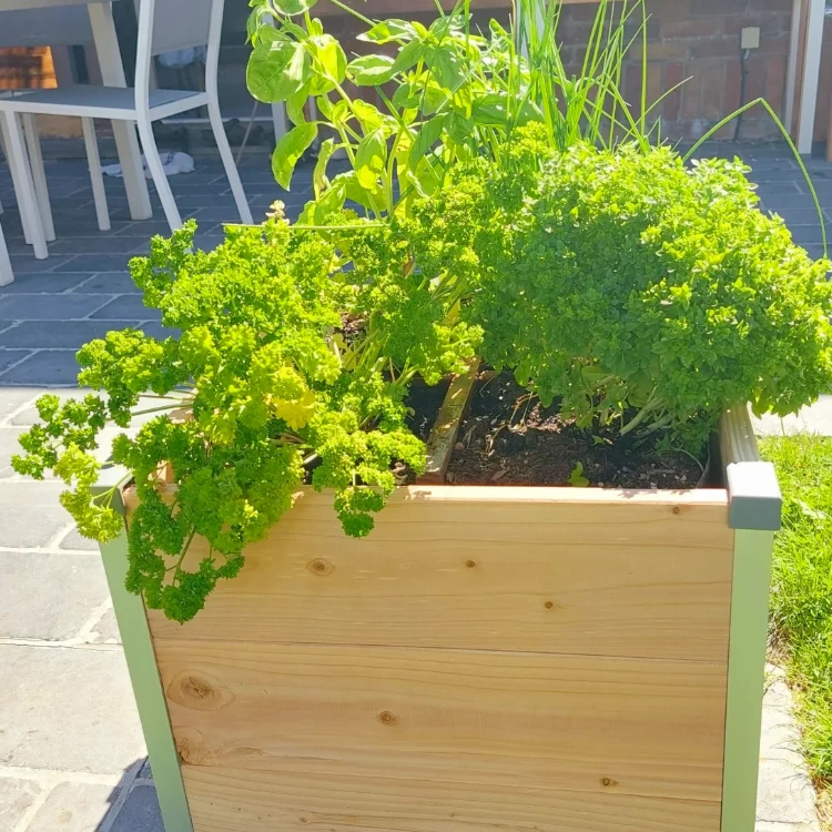 Bac terrasse Design – Image 3