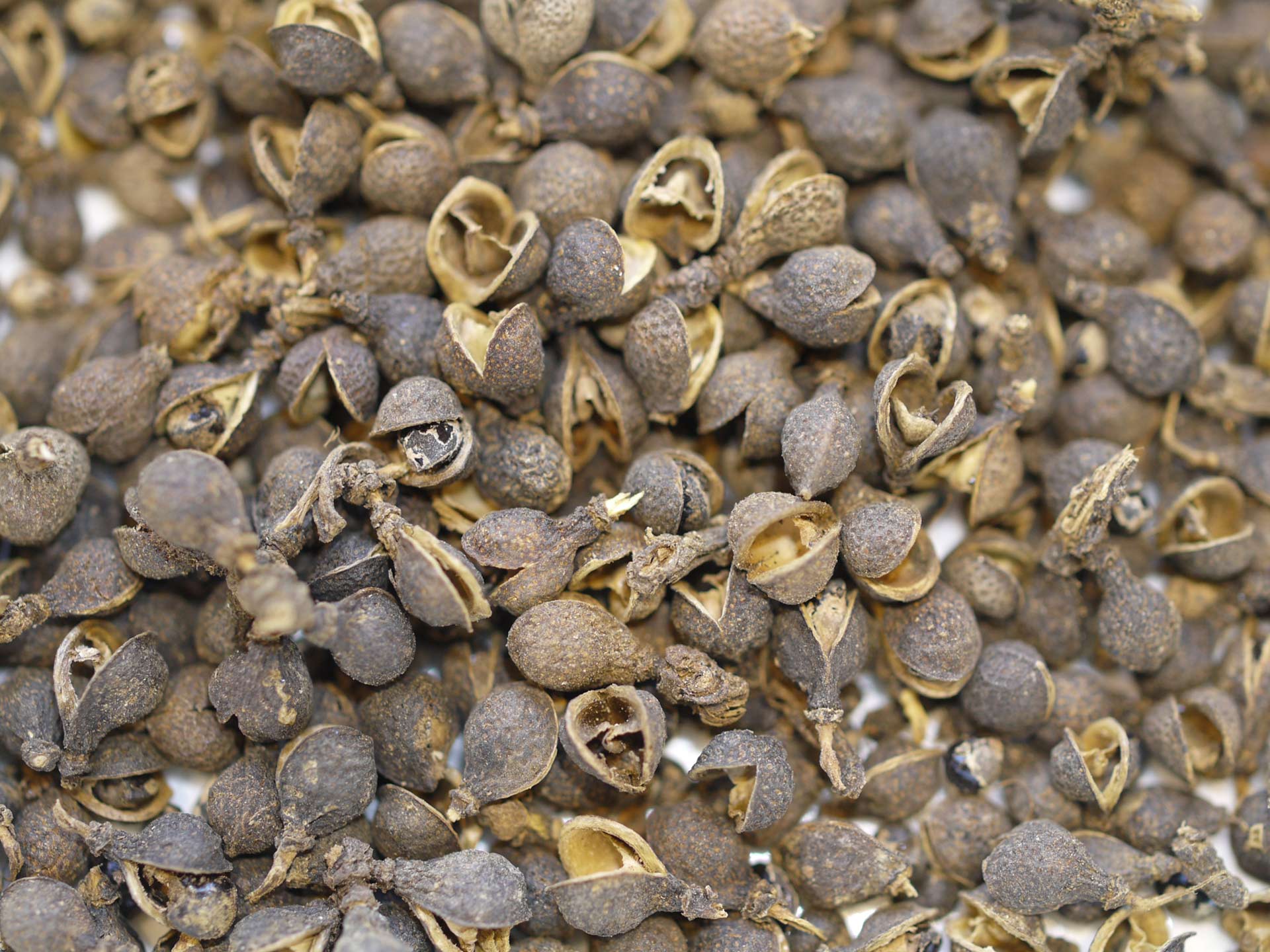 Baie Ganshu – Image 2