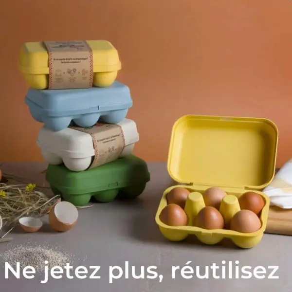 Boîte à œufs réutilisable, écologique et durable