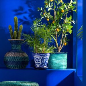 Cache Pot Cobalto Blue (+soucoupe)