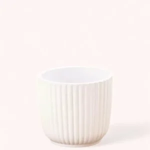 Cache-pot Céramique Blanc