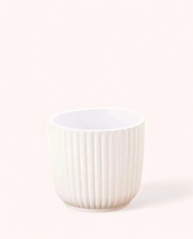 Cache-pot Céramique Blanc