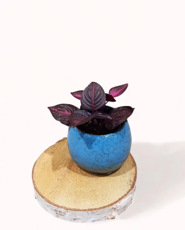 Cache-pot Céramique rond bleu – Image 2