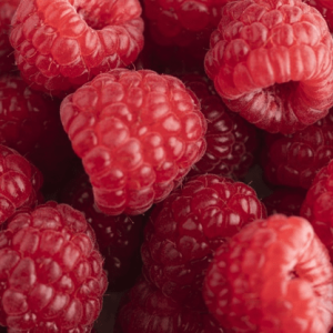 Framboisier HERITAGE