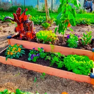 Carré potager à 2 étages