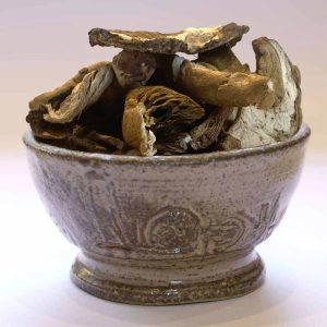 Cèpe de Bordeaux en lamelles Bio