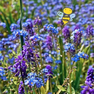 Champ de bonbons bio pour abeilles