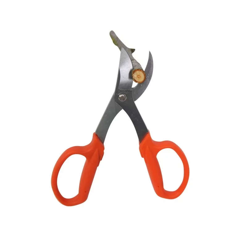 Ciseaux de jardinier à lames rondes – Image 3