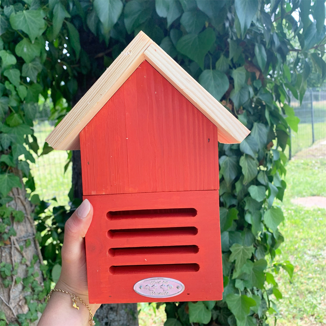 Hôtel à coccinelles – coloris aléatoire – Image 7