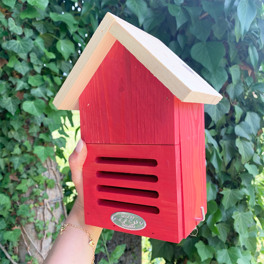 Hôtel à coccinelles – coloris aléatoire – Image 2