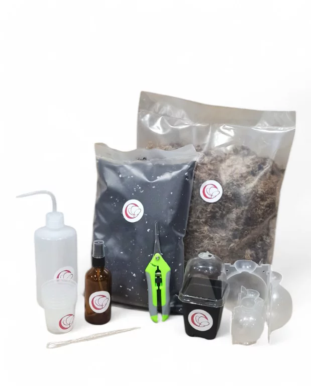 Coffret de Bouturage – Propagation