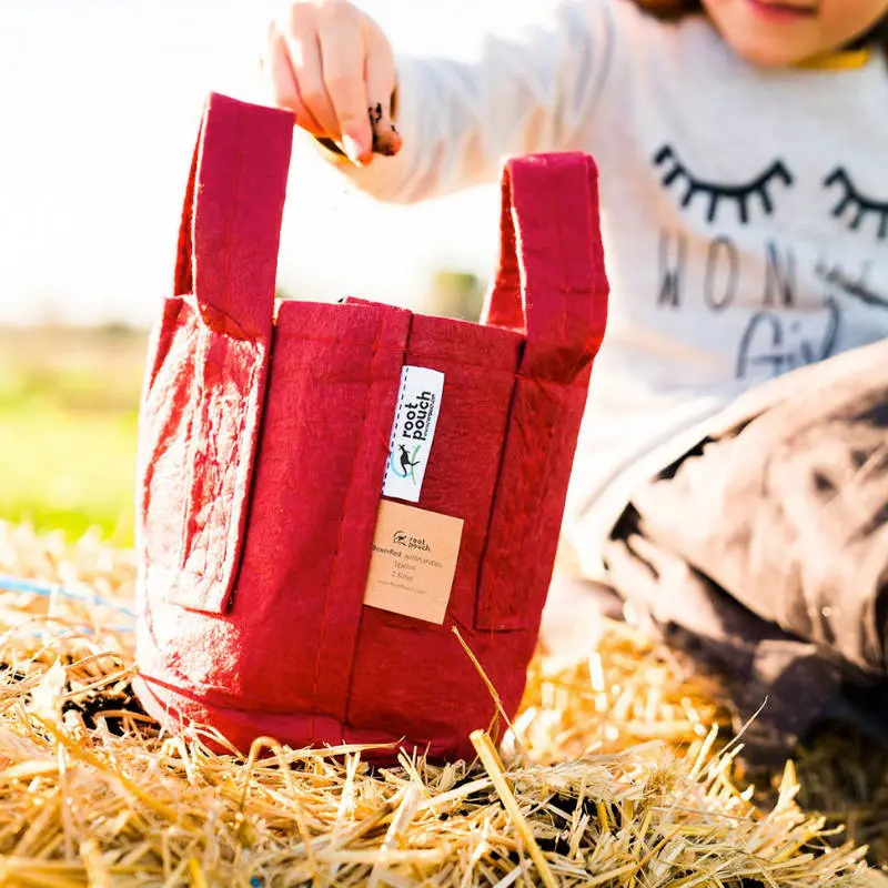 Coffret jardin pour enfants – Les P’tites Mains dans la Terre – Image 2