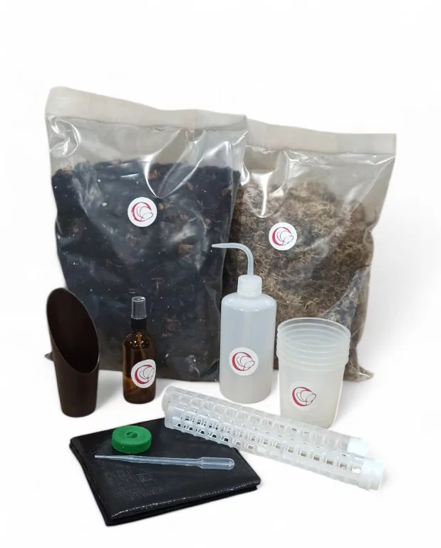 Coffret pour Rempotage