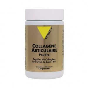 COLLAGENE ARTICULAIRE – poudre    120 Grammes