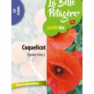 Graines Coquelicot Sauvage – Fleurs Comestibles Bio