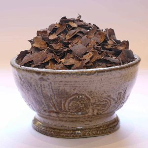 Cosses de cacao Bio du Pérou