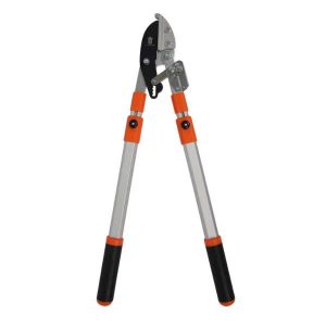 Coupe branche à crémaillère télescopique