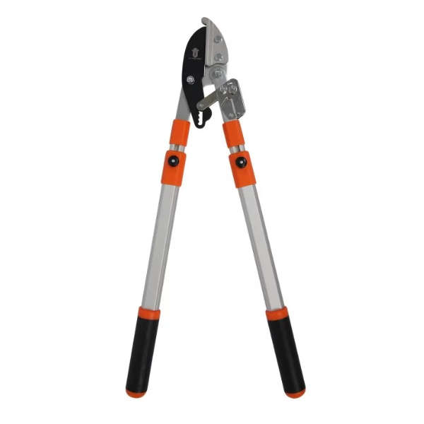 Coupe branche à crémaillère télescopique