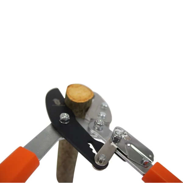 Coupe branche à crémaillère télescopique – Image 3