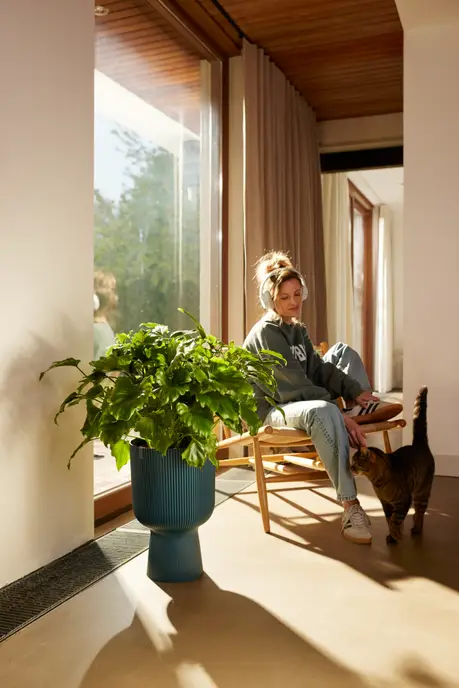 Cache Pot Vibes Fold – Image 5