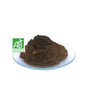 Exfoliant fèves de café bio en poudre