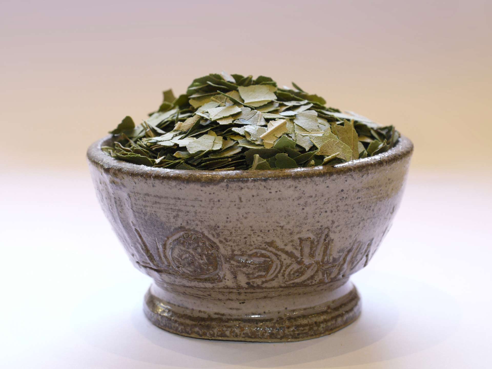 Feuilles de laurier Bio