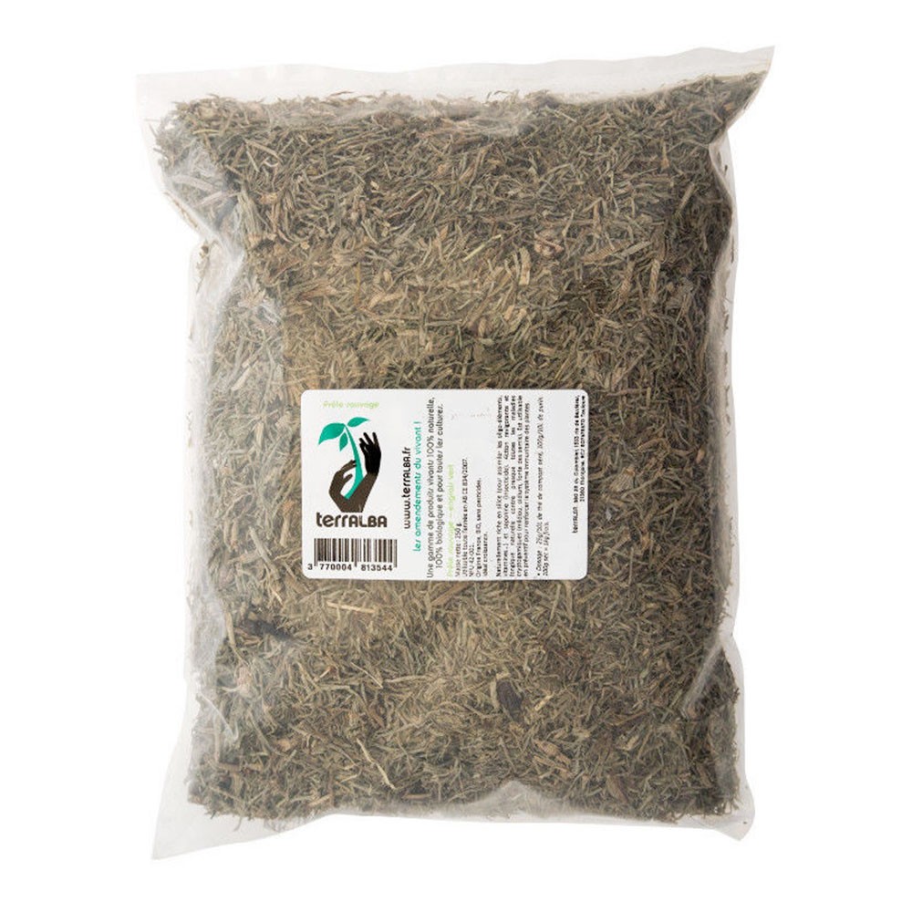 Prêle sauvage – feuilles séchées – Image 2