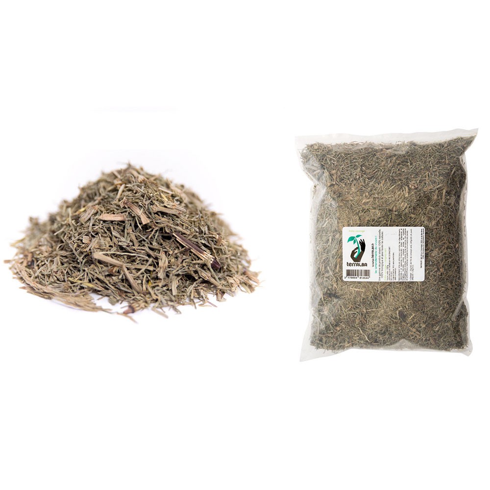 Prêle sauvage – feuilles séchées – Image 3