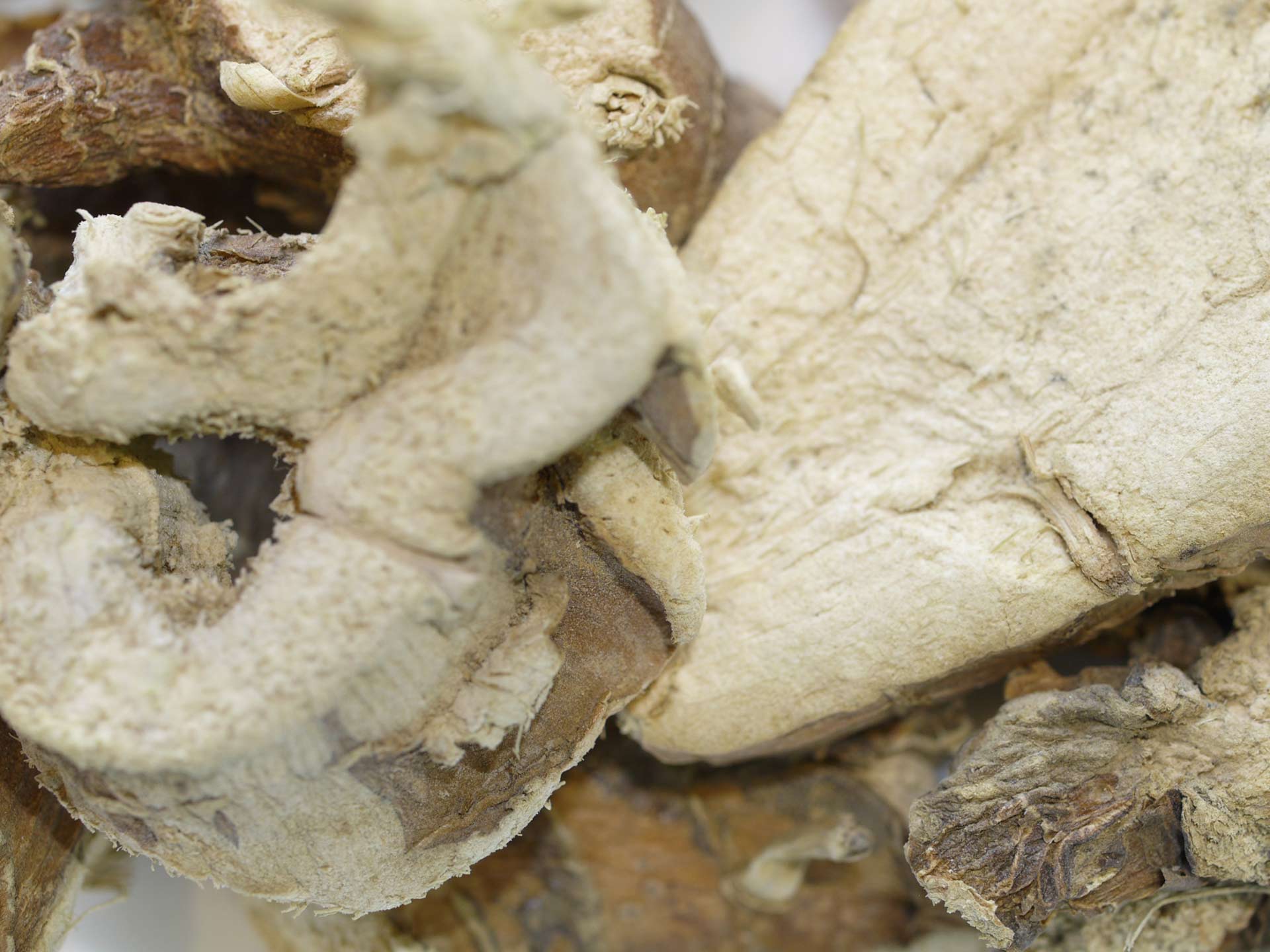 Galanga rhizome coupé Bio – Image 2