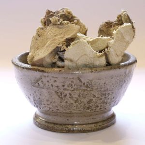 Galanga rhizome coupé Bio