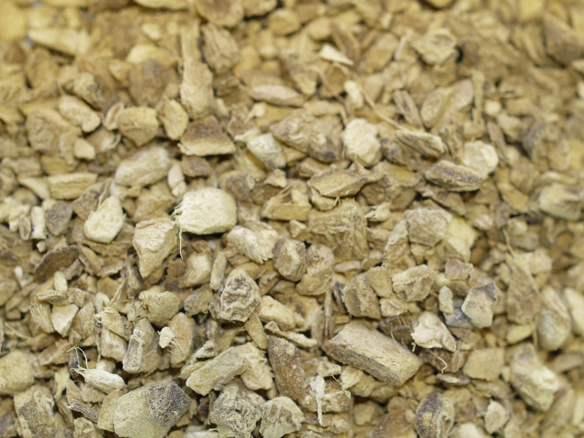 Gingembre rhizome Bio – Image 2