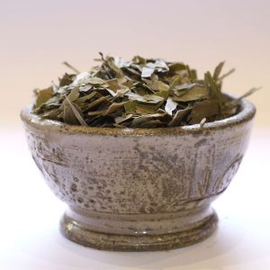 Ginkgo feuille coupée Bio