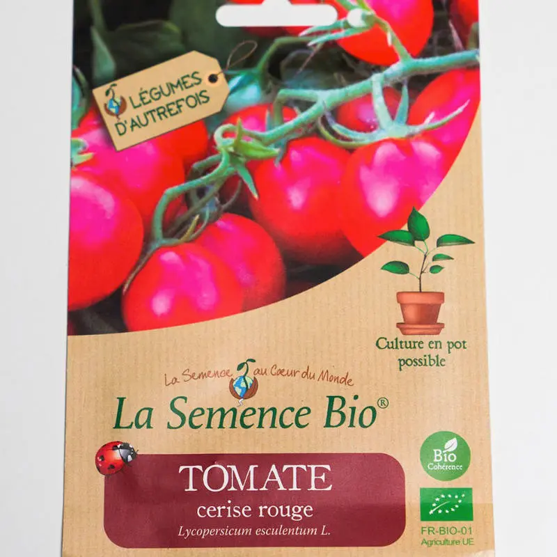 Coffret jardin pour enfants – Les P’tites Mains dans la Terre – Image 5