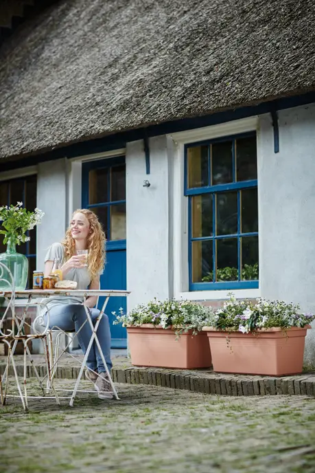 Jardinière Green Basics XXL – Image 5