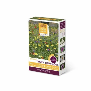 Graines Fleurs Sauvages 50 à 100 m2