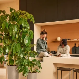 Pot Elho June High prémium