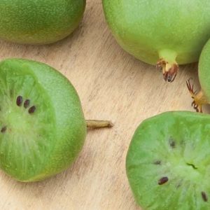 Kiwaï ISSAÏ autofertile