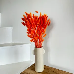 Une botte de Lagurus séché orange