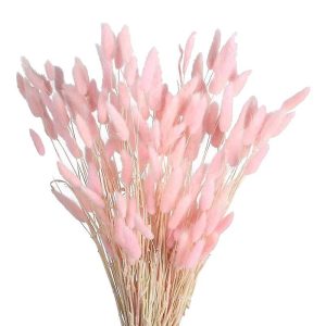 Une botte de Lagurus séché rose