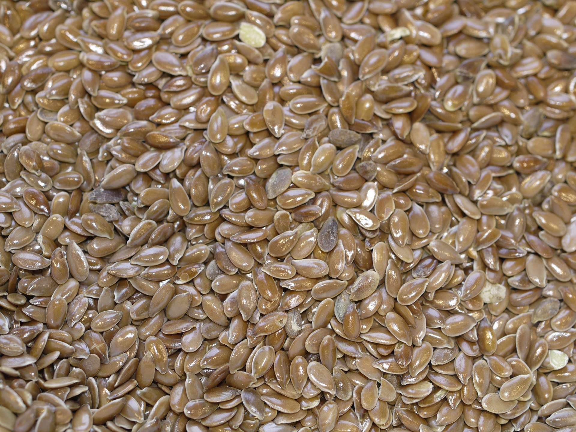 Lin brun graine Bio – Image 2