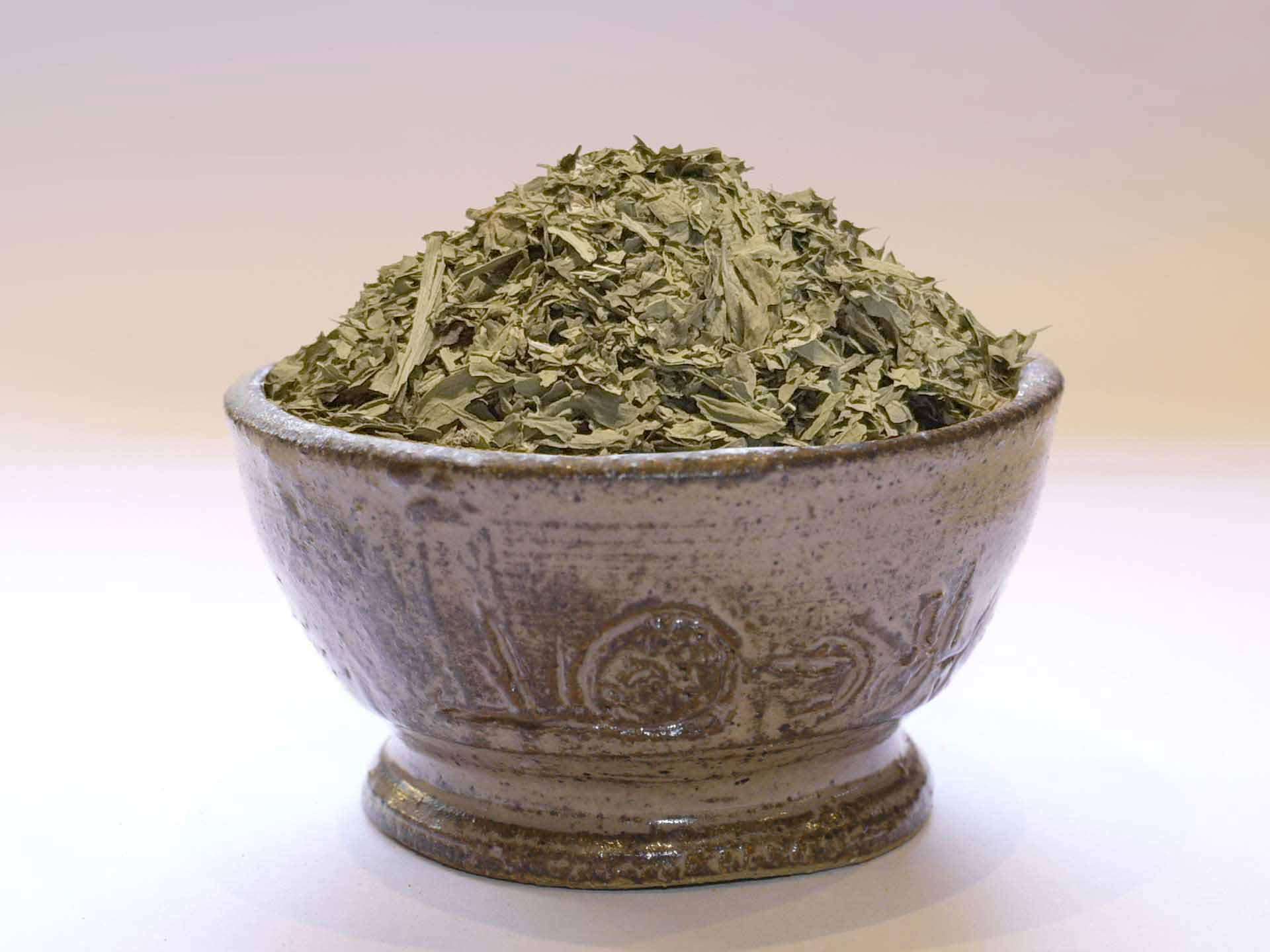 Livèche céleri perpétuel Bio