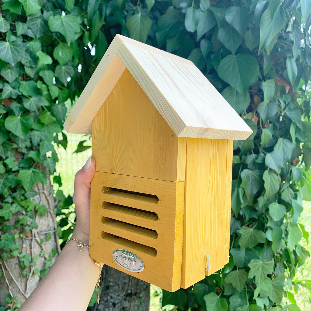 Hôtel à coccinelles – coloris aléatoire – Image 5